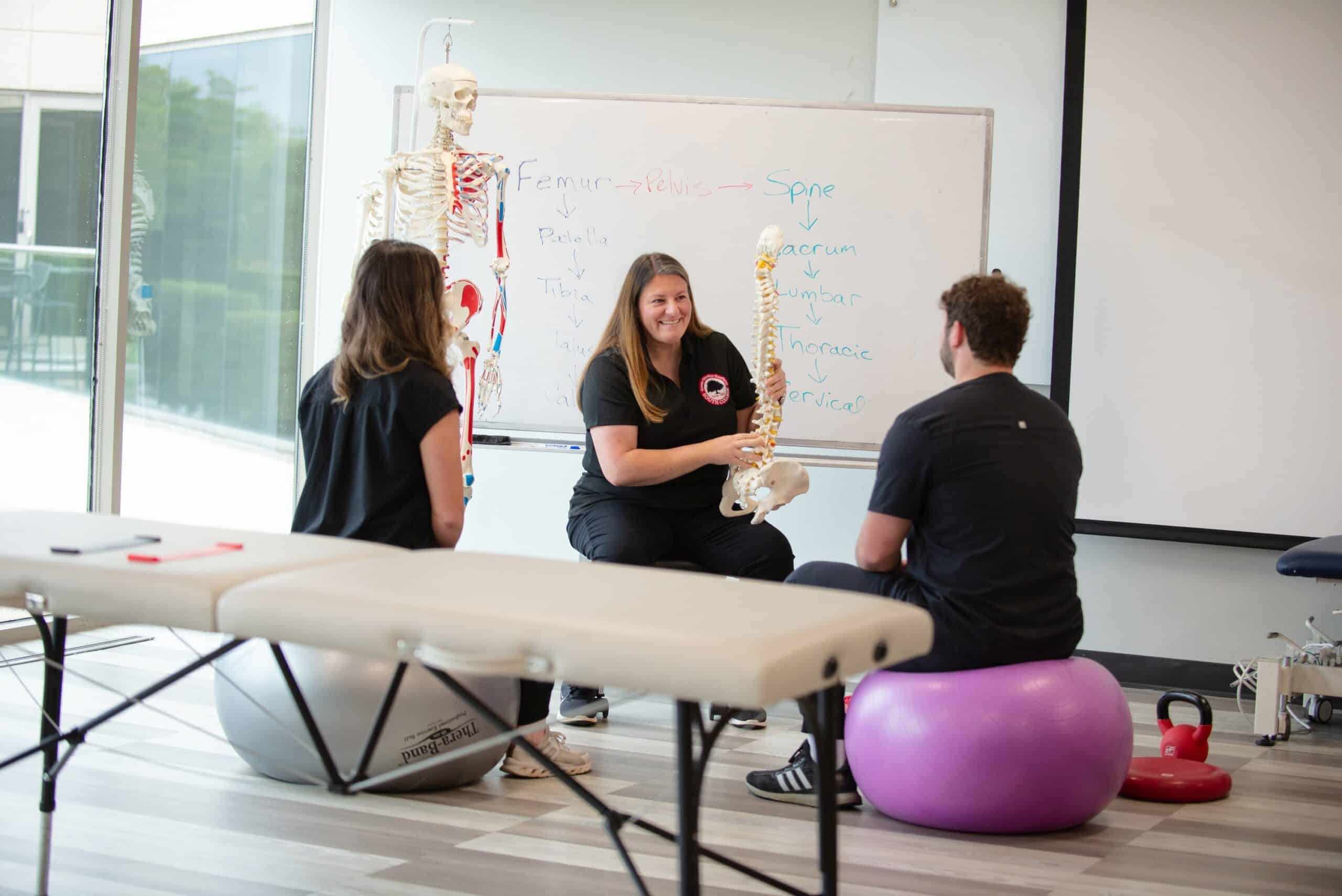 Three people in a classroom sit on exercise balls around a table. One holds a spine model, explaining anatomy. A skeleton and a whiteboard with labeled bones are in the background.
